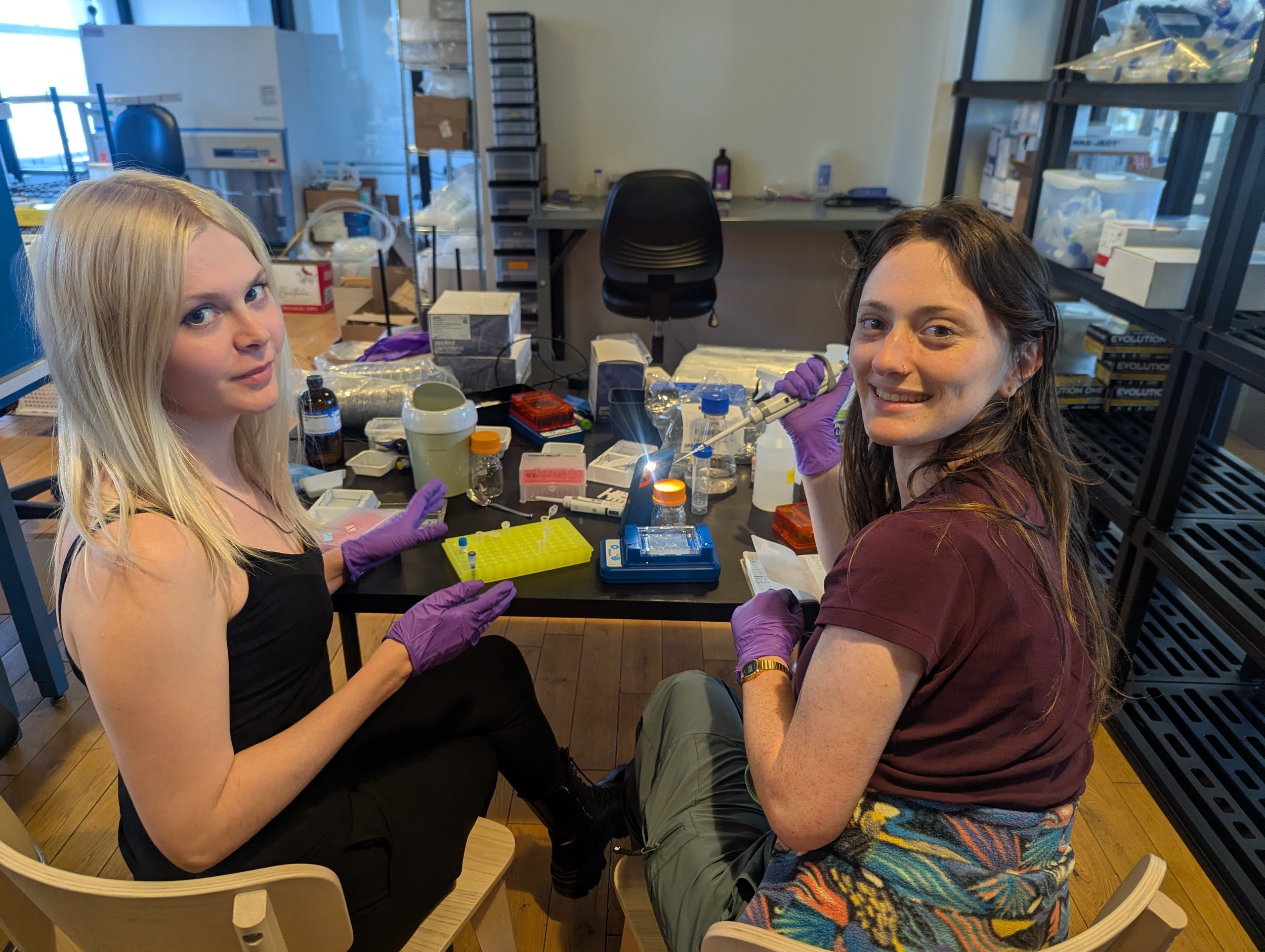 Biopunk class in the lab