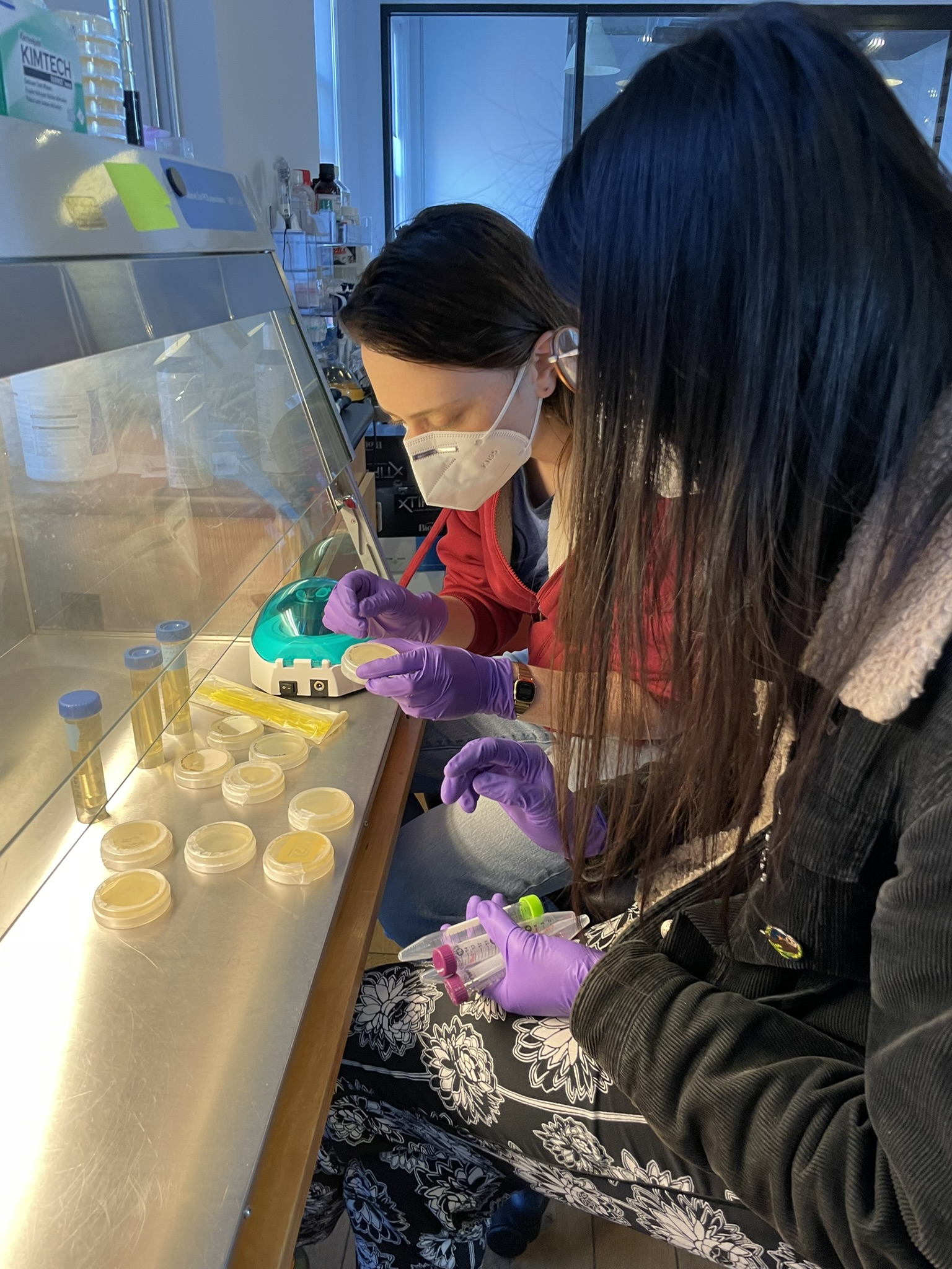Biopunk Lab members working at biosafety cabinet